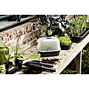 Elho Green Basics Pladenj za gojenje  (24 x 17 x 6 cm, Črne barve) | 7482 - Frühanzucht | IAGG - Gartenartikel | IAG - Außenbereichsausstattung | IA - Gartenhartware | I - Stadtgarten | BAUHAUS