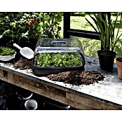 Elho Green Basics Pladenj za gojenje  (36 x 26 x 6 cm, Črne barve) | 7482 - Frühanzucht | IAGG - Gartenartikel | IAG - Außenbereichsausstattung | IA - Gartenhartware | I - Stadtgarten | BAUHAUS