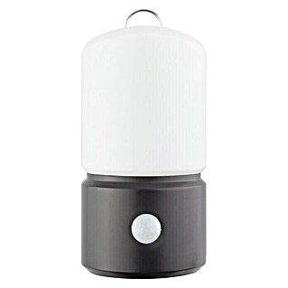 Ritter Leuchten LED svjetiljka sa senzorom pokreta (1 W, Držač, 80 x 55 x 155 mm, Crne boje)