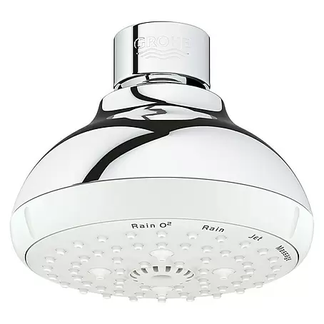 Grohe Tempesta 100 Kopfbrause