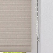 Expo Ambiente Rolo  (Š x V: 60 x 275 cm, Krem, Univerzalen, Prepustnost za dnevno svetlobo) | 6443 - Textil-Rollos | HDDA - Fenster-Sonnenschutz | HDD - Sonnenschutz | HD - Ambiente | H - Innendeko/Farben | BAUHAUS