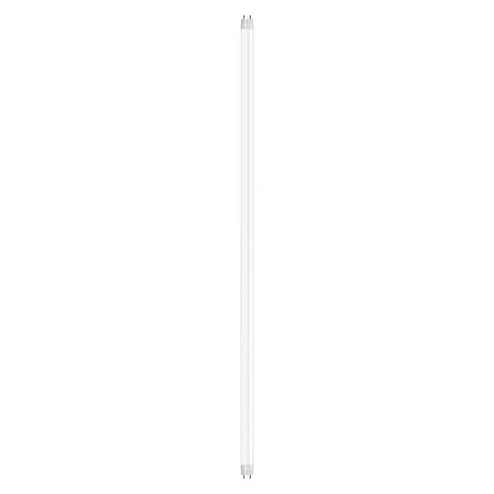 Osram SubstiTube Basic LED-Röhre T8 EM Motion Sensor - Länge: 60,4 cm, Kaltweiß, 6,8 W, 1.100 lm, G13 - Nahaufnahme einer schlanken, transparenten Leuchtstoffröhre mit sichtbaren Elektroden an beiden Enden.