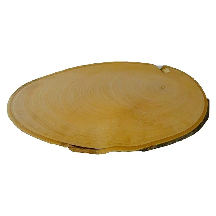 Disco de tronco de madera Oval - Ø x Es: 15 cm x 10 mm - Primer plano de una rodaja de árbol rústica, ideal como posavasos o elemento decorativo, mostrando anillos de crecimiento visibles.