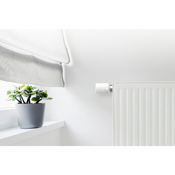 Tado Smartes Termostato de radiador Starter Kit V3+IN (Control inteligente: App Tado, 2 piezas)