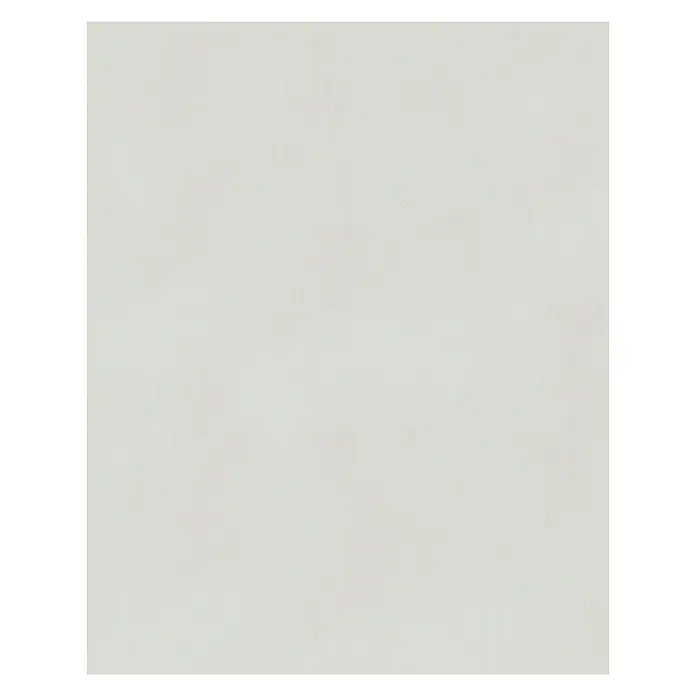 SCHÖNER WOHNEN-Kollektion Vliestapete - Greige, Uni, 10,05 x 0,53 m - Eine makellose, leere weiße Leinwand, perfekt für kreative Projekte, Notizen oder als minimalistischer Hintergrund.