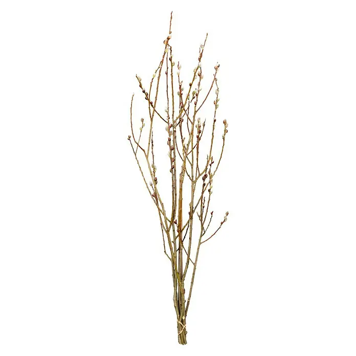 Piardino Dekozweige Schnittgrün - Weidekätzchen - Ein Bund dekorativer Palmkätzchenzweige, ideal für frühlingshafte Dekorationen und Ostern. Natürliche Farben und feine Texturen zeichnen diese Zweige aus.