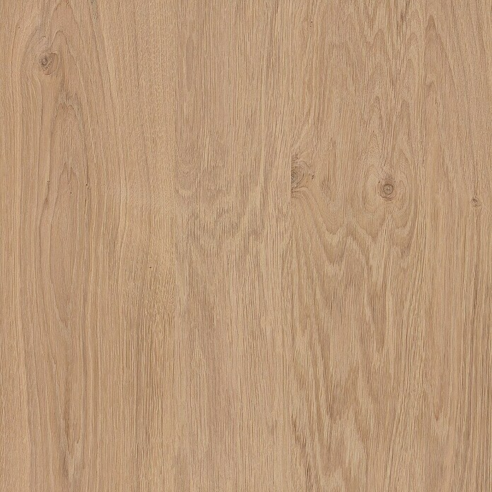 HPL plošča  (Hrast, Do x Š x De: 1.390 x 620 x 3 mm) | 5363 - Sperrholz ohne Zuschnitt | GDDD - Sperrholz | GDD - Zuschnitt/KST/Umleimer | GD - Zuschnitt | G - Holz/Bauelem | BAUHAUS