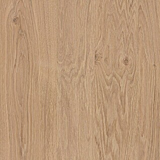 HPL ploča, fiksne dimenzije (Smeđa, D x Š x D: 1.390 x 620 x 3 mm)