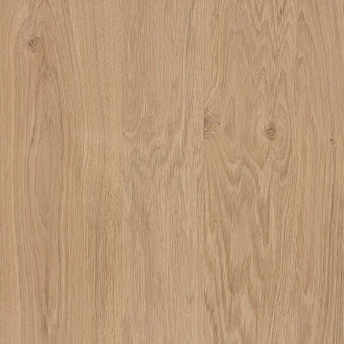 HPL-Platte Fixmaß - 1.390 x 620 x 3 mm, Weiß - Nahaufnahme eines Holzfurniers mit Maserung und Astlöchern.