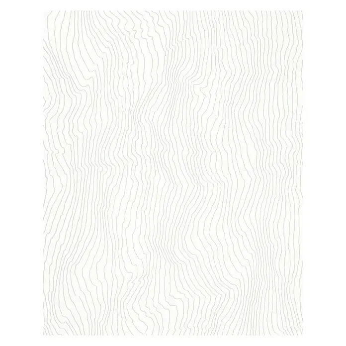 SCHÖNER WOHNEN-Kollektion Vliestapete Maserung - Weiß/Grau, Grafisch, 10,05 x 0,53 m - Weißer Hintergrund mit feinen, vertikalen Linien, die eine natürliche Holzmaserung imitieren. Minimalistisch und schlicht.