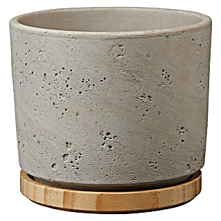 Soendgen Keramik Okrugla tegla za biljke (Vanjska dimenzija (ø x V): 23 x 20 cm, Svijetlosive boje, Drvo)