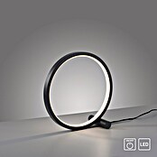 Just Light Ritus Lámpara de sobremesa redonda (10,5 W, Ø x Al: 25,5 x 10 cm, Negro) | BAUHAUS