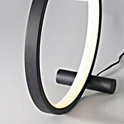 Just Light Ritus Lámpara de sobremesa redonda (10,5 W, Ø x Al: 25,5 x 10 cm, Negro) | BAUHAUS