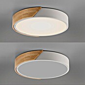 Paul Neuhaus Bila Plafón LED redondo (24 W, Ø x Al: 32 x 55 cm, Blanco/Madera, Blanco cálido) | BAUHAUS