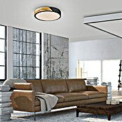Paul Neuhaus Bila Plafón LED redondo (24 W, Negro/Madera, Blanco cálido) | BAUHAUS