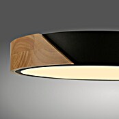 Paul Neuhaus Bila Plafón LED redondo (24 W, Negro/Madera, Blanco cálido) | BAUHAUS