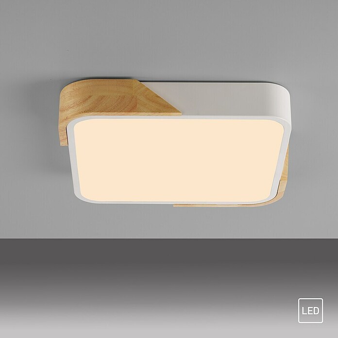Paul Neuhaus Bila Plafón LED (24 W, L x An x Al: 32 x 32 x 55 cm, Blanco/Madera, Blanco cálido) | BAUHAUS