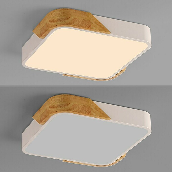 Paul Neuhaus Bila Plafón LED (24 W, L x An x Al: 32 x 32 x 55 cm, Blanco/Madera, Blanco cálido) | BAUHAUS