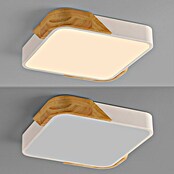 Paul Neuhaus Bila Plafón LED (24 W, L x An x Al: 32 x 32 x 55 cm, Blanco/Madera, Blanco cálido) | BAUHAUS