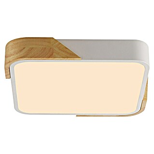 Paul Neuhaus Bila Plafón LED (24 W, L x An x Al: 32 x 32 x 55 cm, Blanco/Madera, Blanco cálido)