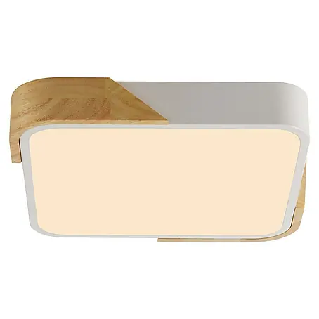 Paul Neuhaus Bila Plafón LED