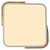 Paul Neuhaus Bila Plafón LED (24 W, L x An x Al: 32 x 32 x 55 cm, Blanco/Madera, Blanco cálido) | BAUHAUS