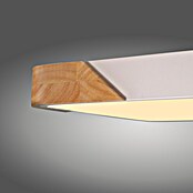 Paul Neuhaus Bila Plafón LED (24 W, L x An x Al: 32 x 32 x 55 cm, Blanco/Madera, Blanco cálido) | BAUHAUS