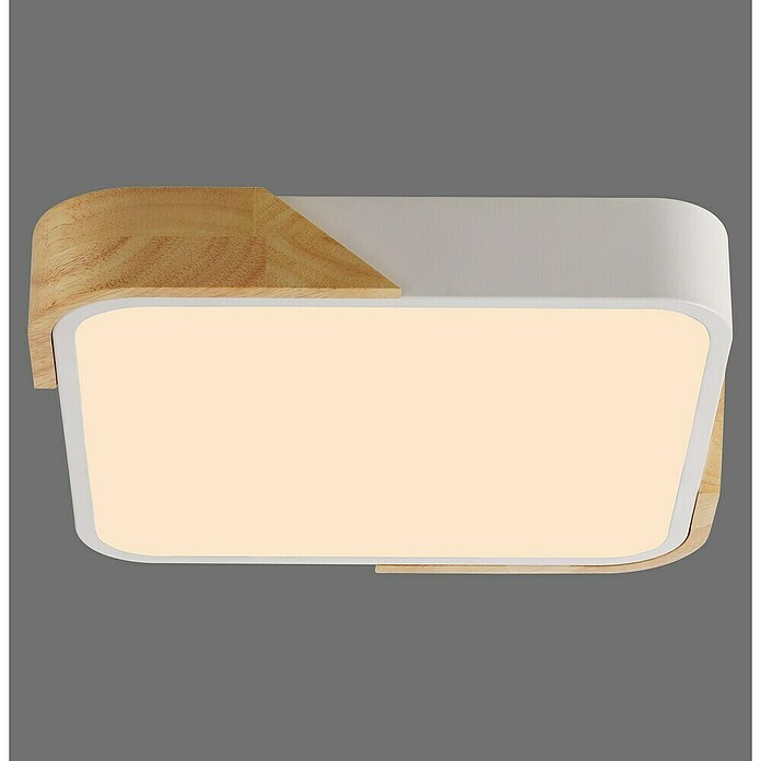 Paul Neuhaus Bila Plafón LED (24 W, L x An x Al: 32 x 32 x 55 cm, Blanco/Madera, Blanco cálido) | BAUHAUS