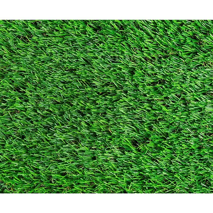 Kunstrasen Meterware Koh Samui - Breite: 400 cm, Grün, Mit Drainagenoppen - Grüne Kunstrasen-Textur. Die synthetische Grasoberfläche bietet ein realistisches Aussehen und Gefühl für Gärten und Sportplätze.
