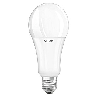 Osram Star LED-Lampe Glühlampenform E27 matt (E27, 19 W, A67, 2.452 lm, Warmweiß)