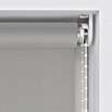 Rollo Screen (B x H: 60 x 190 cm, Silber, Uni) | BAUHAUS