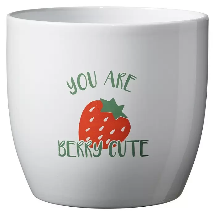 Soendgen Keramik Übertopf rund Charming Fruits - Außenmaß (Ø x H): 8 x 7 cm, Weiß, Keramik, Berry - Weißer Keramiktopf mit "YOU ARE BERRY CUTE" Text und Erdbeer-Illustration.