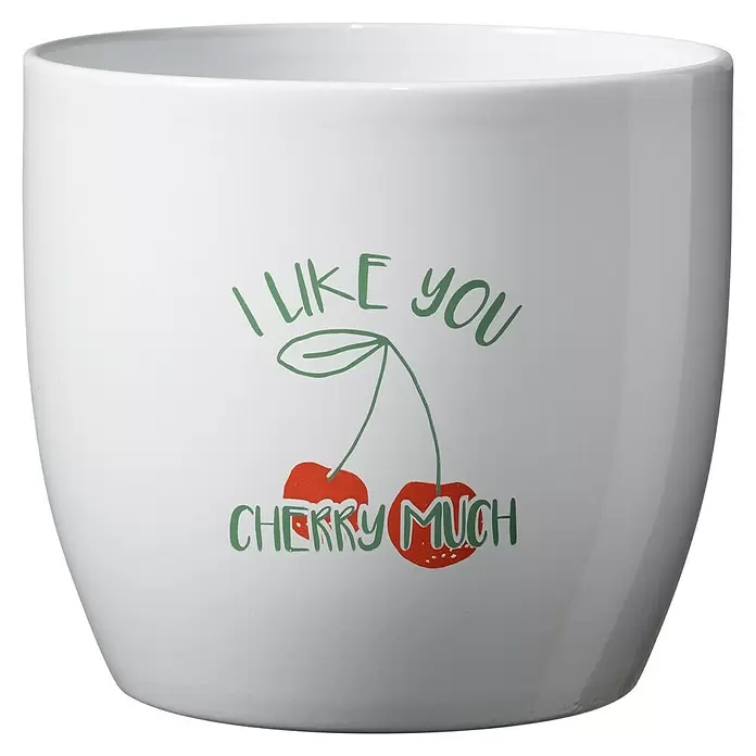 Soendgen Keramik Übertopf rund Charming Fruits - Außenmaß (Ø x H): 8 x 7 cm, Weiß, Keramik, Cherry - Weißer Keramiktopf mit grünem "I like you cherry much" Text und zwei roten Kirschen.