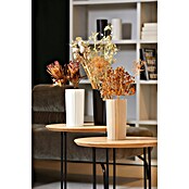 Soendgen Keramik Vase Umea Pure (Ø x H: 11 x 21 cm, Keramik, Weiß) | BAUHAUS