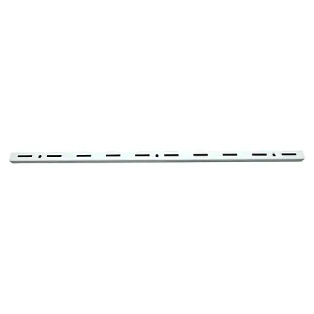 Regalux  Wandschiene S 50