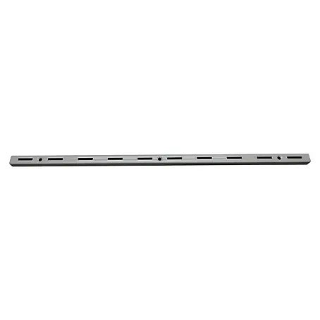 Regalux  Wandschiene S 50