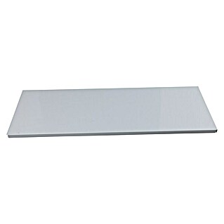Regalux Stahlfachboden (L x B: 20 x 80 cm, Silber, 2 Stk.)