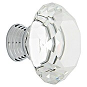 Rei Pomo para muebles (Diámetro: 40 mm, Transparente, Brillante, 2 ud.) | BAUHAUS