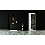 Türspiegel Bea (30 x 120 cm, Silber) | BAUHAUS