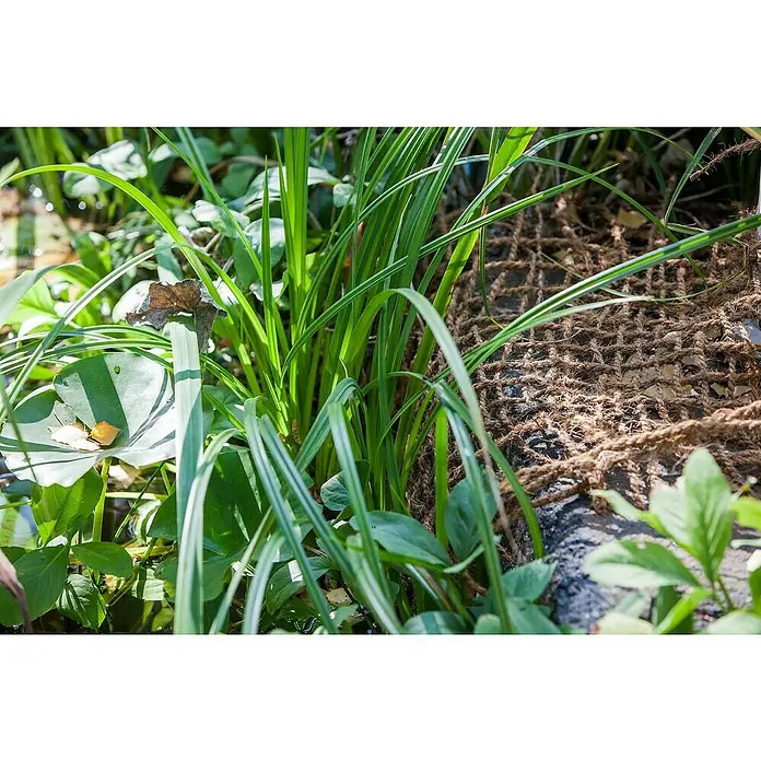 Heissner Teichnetz - Breite: 100 cm - Nahaufnahme von grünen Wasserpflanzen und einem groben, braunen Netz im Garten, das dekorative und natürliche Elemente vereint.