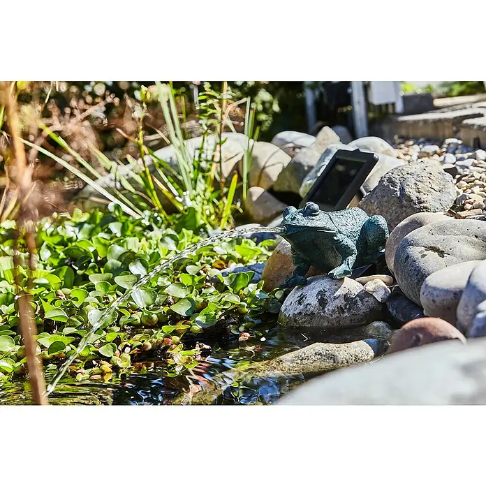 Heissner Solar-Teichpumpen-Set Frosch - Fördermenge pro Std.: 200 l - Nahaufnahme eines Frosch-Springbrunnens, der Wasser in einen Teich speit, mit Steinen und Pflanzen im Hintergrund.