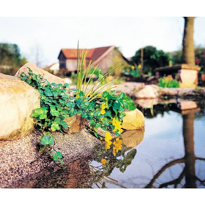 Heissner Steinfolie Meterware - Breite: 60 cm - Felsvorsprung mit üppigem Grün am Ufer eines ruhigen Teichs, der die umliegende Natur und ein charmantes Haus im Hintergrund widerspiegelt.