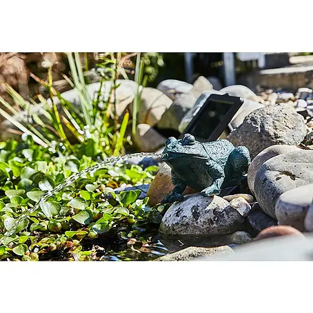 Heissner  Solar-Teichpumpen-Set Frosch