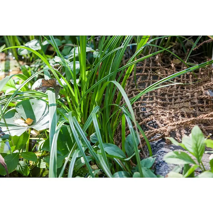 Heissner Teichnetz - Breite: 100 cm - Nahaufnahme von Wasserpflanzen, darunter grüne Blätter und eine braune Netzstruktur, die eine natürliche und lebendige Umgebung zeigt.