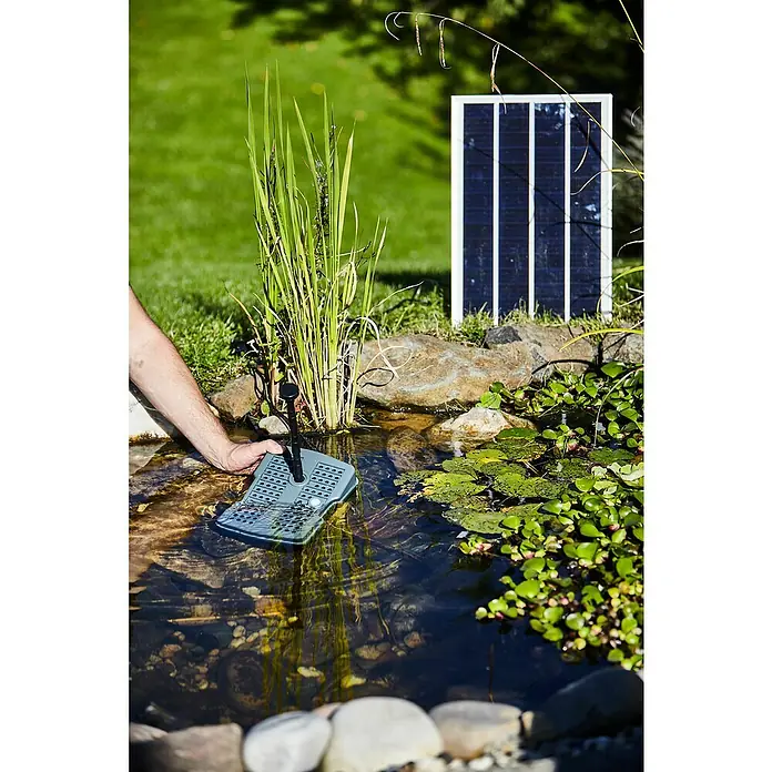 Heissner Unterwasserfilter - 5 W - Nahaufnahme einer Hand, die einen grauen, netzartigen Solar-Pond-Belüfter in einen Teich setzt, mit einer Solarzelle im Hintergrund.