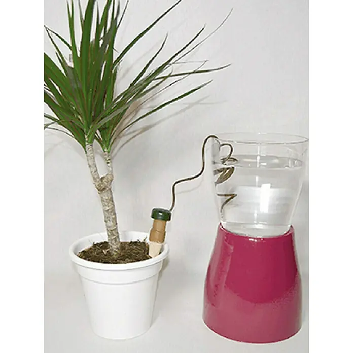 Sistema de irrigación especial vacaciones - Plástico, 4 pzs. - Sistema de autorriego para plantas de interior con un drago en una maceta blanca, conectado a un dispositivo de riego con base roja.