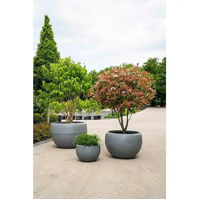 Capi Europe Cubremaceta redondo Granite - Dimensiones externas (Ø x Al): 67 x 45 cm, Antracita, Plástico, Mate - Jardineras de varios tamaños con árboles y plantas situadas en una plaza pavimentada.