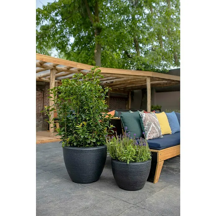 Capi Europe Übertopf rund Arc Granite - Außenmaß (Ø x H): 75 x 60 cm, Schwarz, Kunststoff, Matt - Zwei Pflanzgefäße im Freien mit grünen Pflanzen, perfekt für Terrasse oder Garten, schaffen eine entspannte Atmosphäre.