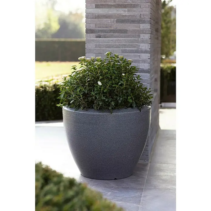 Capi Europe Übertopf rund Arc Granite - Außenmaß (Ø x H): 34 x 25 cm, Anthrazit, Kunststoff, Matt - Großer, grauer Pflanztopf mit einer üppigen, grünen Pflanze, der eine stilvolle Ergänzung für jeden Außenbereich darstellt.