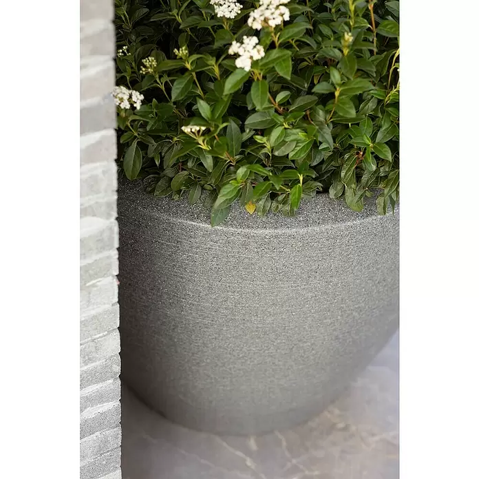 Capi Europe Übertopf rund Arc Granite - Außenmaß (Ø x H): 60 x 48 cm, Anthrazit, Kunststoff, Matt - Großer, runder grauer Pflanzkübel mit gesprenkelter Textur, darin eine grüne Pflanze mit kleinen weißen Blüten, neben einer strukturierten grauen Wand.